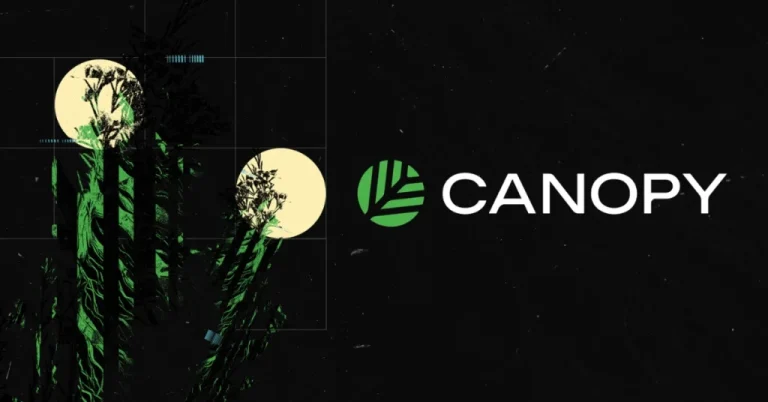 Canopy Introduces ‘Progressive Autonomy’: A New Framework That Makes Launching a Blockchain Easy
